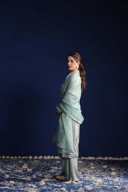 Celadon Grace Kurta set